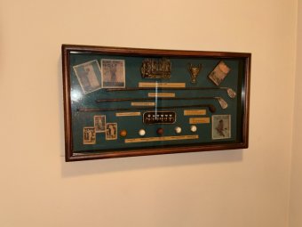 It's a Yellow Bird Bonanza in Chestatee - Image 226