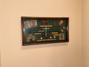 It's a Yellow Bird Bonanza in Chestatee - Image 227