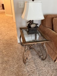 It's a Yellow Bird Bonanza in Chestatee - Image 242