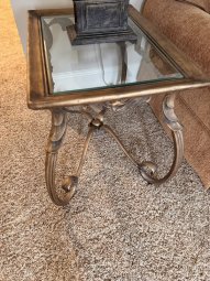 It's a Yellow Bird Bonanza in Chestatee - Image 243