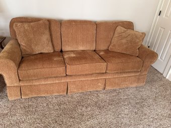 It's a Yellow Bird Bonanza in Chestatee - Image 246