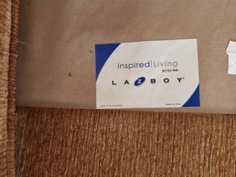 It's a Yellow Bird Bonanza in Chestatee - Image 247