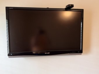 It's a Yellow Bird Bonanza in Chestatee - Image 256