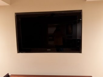 It's a Yellow Bird Bonanza in Chestatee - Image 261