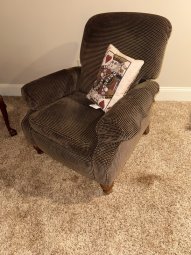 It's a Yellow Bird Bonanza in Chestatee - Image 263