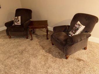 It's a Yellow Bird Bonanza in Chestatee - Image 264