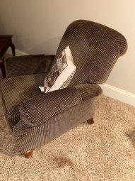 It's a Yellow Bird Bonanza in Chestatee - Image 265