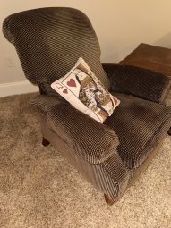 It's a Yellow Bird Bonanza in Chestatee - Image 269