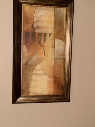 It's a Yellow Bird Bonanza in Chestatee - Image 270