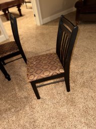 It's a Yellow Bird Bonanza in Chestatee - Image 275