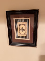 It's a Yellow Bird Bonanza in Chestatee - Image 282