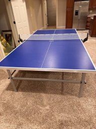 It's a Yellow Bird Bonanza in Chestatee - Image 284