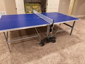 It's a Yellow Bird Bonanza in Chestatee - Image 285