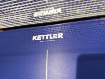 It's a Yellow Bird Bonanza in Chestatee - Image 286