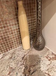 It's a Yellow Bird Bonanza in Chestatee - Image 294