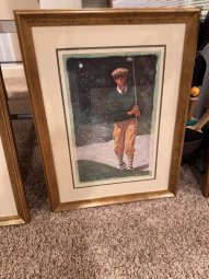 It's a Yellow Bird Bonanza in Chestatee - Image 299