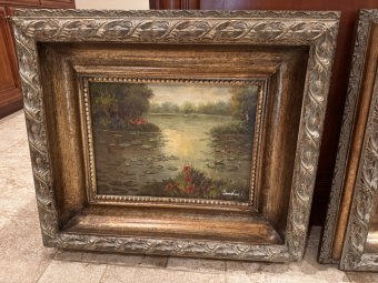 It's a Yellow Bird Bonanza in Chestatee - Image 303