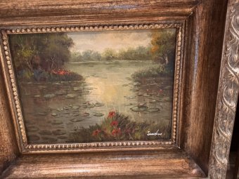 It's a Yellow Bird Bonanza in Chestatee - Image 304