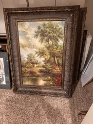 It's a Yellow Bird Bonanza in Chestatee - Image 305