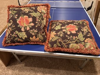 It's a Yellow Bird Bonanza in Chestatee - Image 306