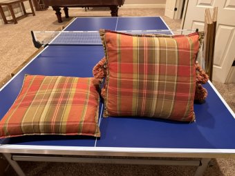 It's a Yellow Bird Bonanza in Chestatee - Image 307