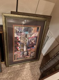 It's a Yellow Bird Bonanza in Chestatee - Image 309