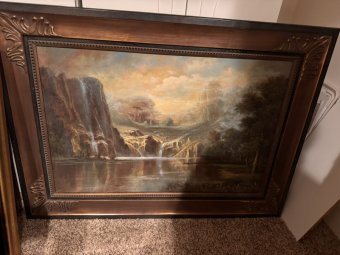 It's a Yellow Bird Bonanza in Chestatee - Image 312