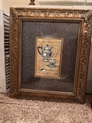 It's a Yellow Bird Bonanza in Chestatee - Image 315