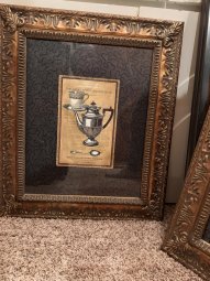 It's a Yellow Bird Bonanza in Chestatee - Image 316