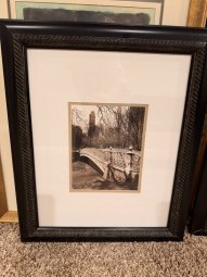 It's a Yellow Bird Bonanza in Chestatee - Image 317