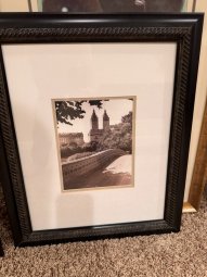 It's a Yellow Bird Bonanza in Chestatee - Image 318