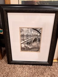 It's a Yellow Bird Bonanza in Chestatee - Image 319