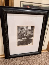 It's a Yellow Bird Bonanza in Chestatee - Image 320