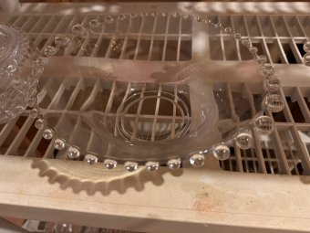 It's a Yellow Bird Bonanza in Chestatee - Image 323