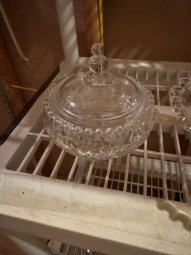 It's a Yellow Bird Bonanza in Chestatee - Image 324