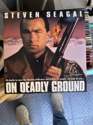 It's a Yellow Bird Bonanza in Chestatee - Image 329