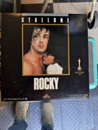 It's a Yellow Bird Bonanza in Chestatee - Image 330