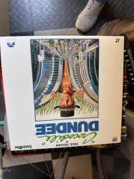 It's a Yellow Bird Bonanza in Chestatee - Image 331