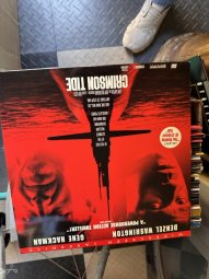 It's a Yellow Bird Bonanza in Chestatee - Image 332