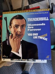 It's a Yellow Bird Bonanza in Chestatee - Image 333