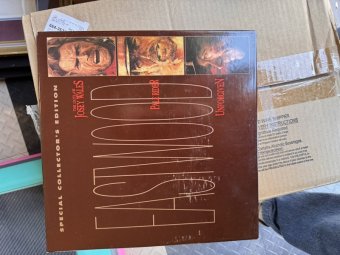 It's a Yellow Bird Bonanza in Chestatee - Image 336