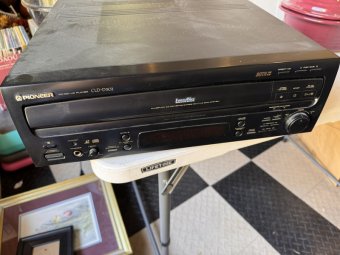 It's a Yellow Bird Bonanza in Chestatee - Image 337