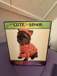 It's so Much Stuff You Have to See It to Believe It - Image 256