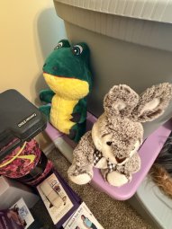 It's so Much Stuff You Have to See It to Believe It - Image 266