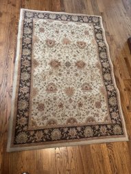 It's a Yellow Bird Bonanza in Chestatee - Image 338