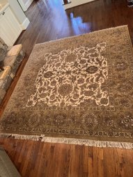 It's a Yellow Bird Bonanza in Chestatee - Image 344