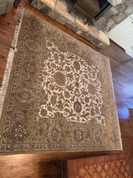 It's a Yellow Bird Bonanza in Chestatee - Image 345