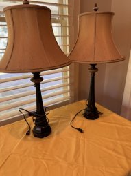 It's a Yellow Bird Bonanza in Chestatee - Image 347