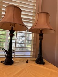 It's a Yellow Bird Bonanza in Chestatee - Image 348