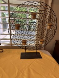 It's a Yellow Bird Bonanza in Chestatee - Image 349